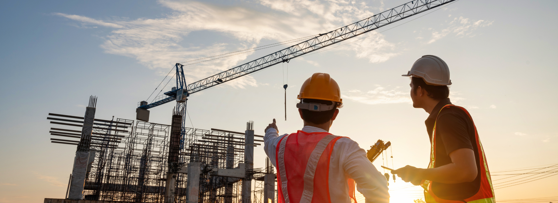 Construction professionals